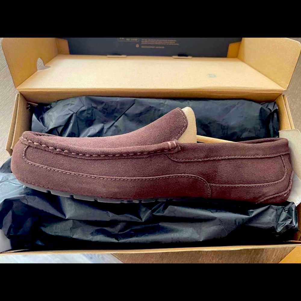 BNIB Alder Brown Suede Uggs